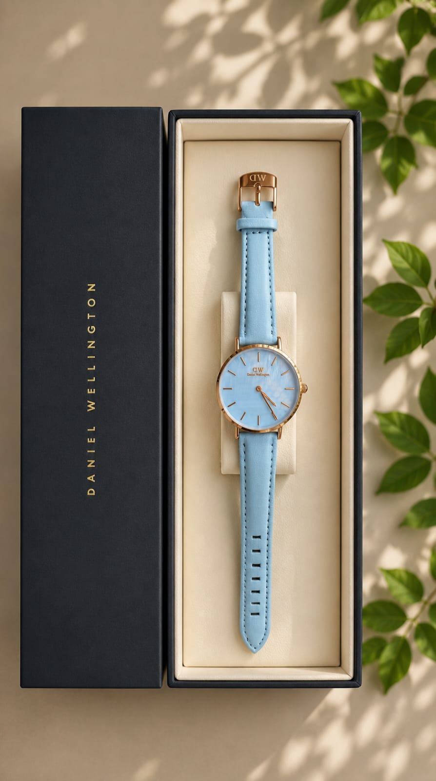 Daniel Wellington DW Elegant watch